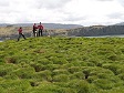 20040525-Iceleand-142.jpg