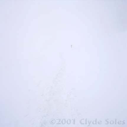 25-Whiteout