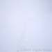 25-Whiteout
